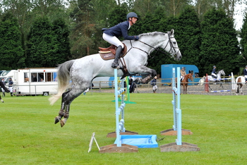 Phillip Miller makes his mark in the Speedi-Beet HOYS Grade C Qualifier at the South of England Show